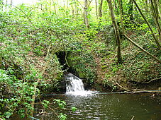 Agrandir l'image, .JPG 1 Mo (fenêtre modale)