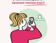 Agrandir l'image, .JPG 2,7 Mo (fenêtre modale)
