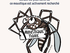 Agrandir l'image, .JPG 2,7 Mo (fenêtre modale)