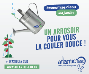 un arrosoir pour le jardin